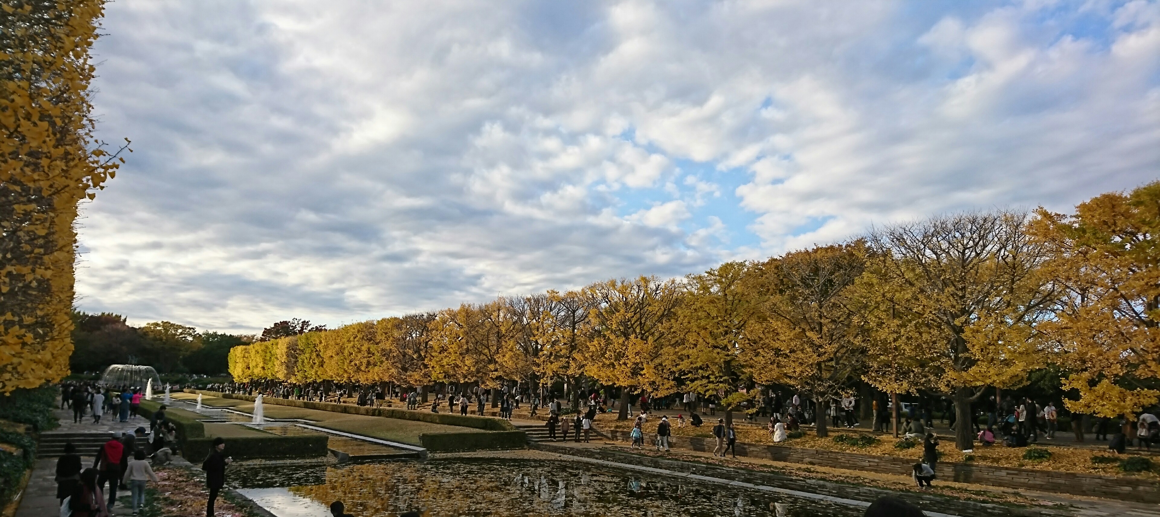 Showa Kinen Park