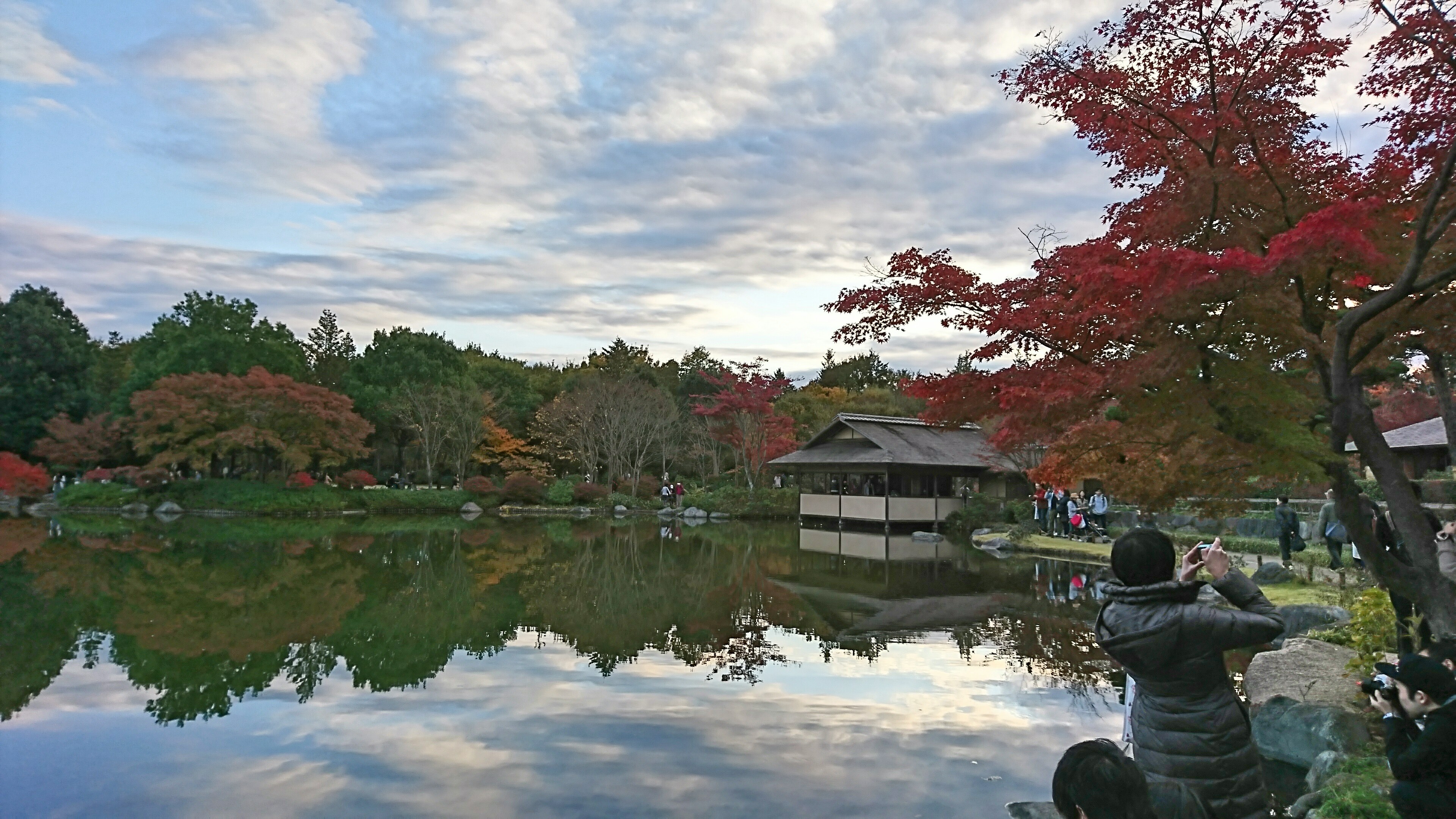 Showa Kinen Park