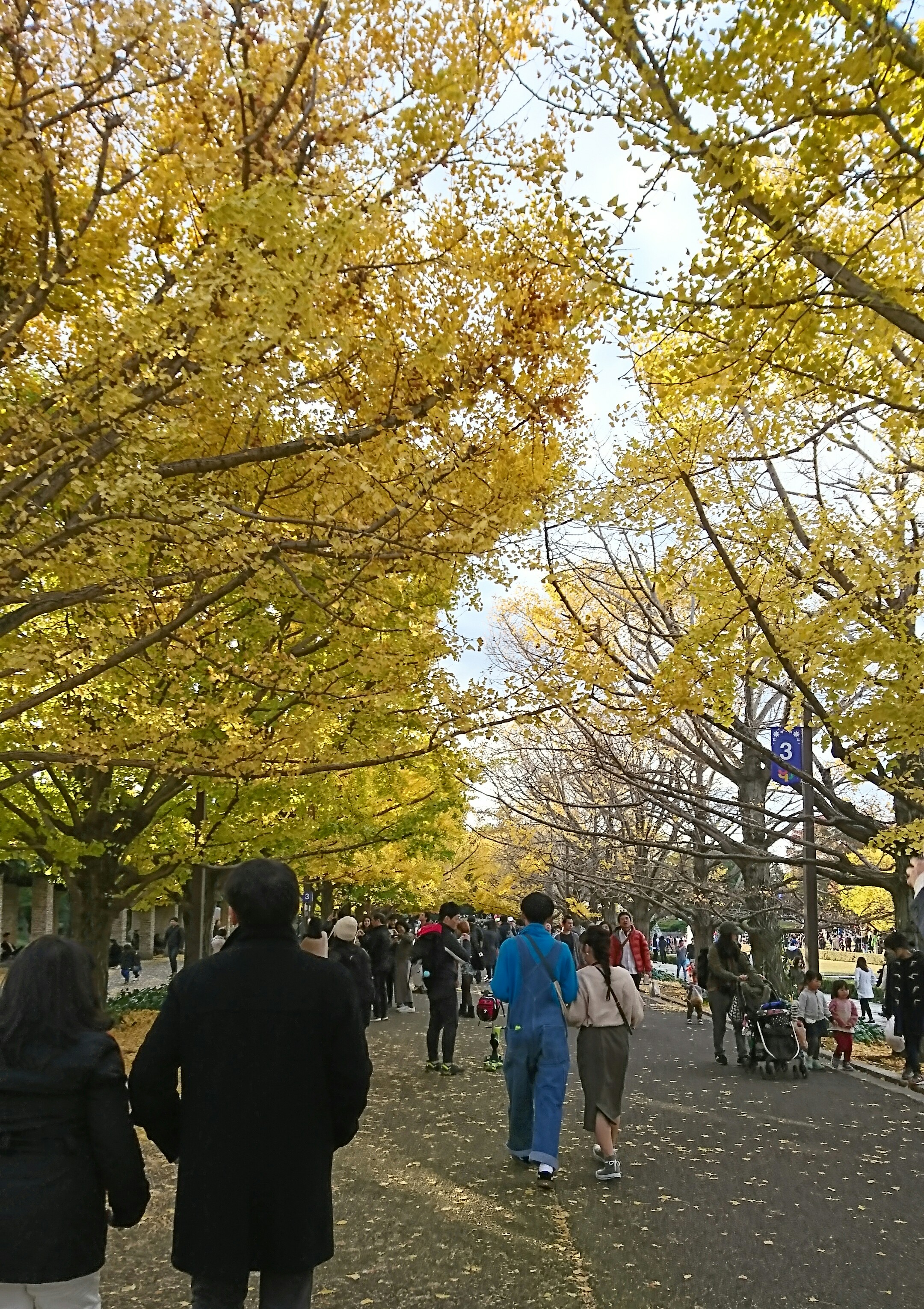 Showa Kinen Park